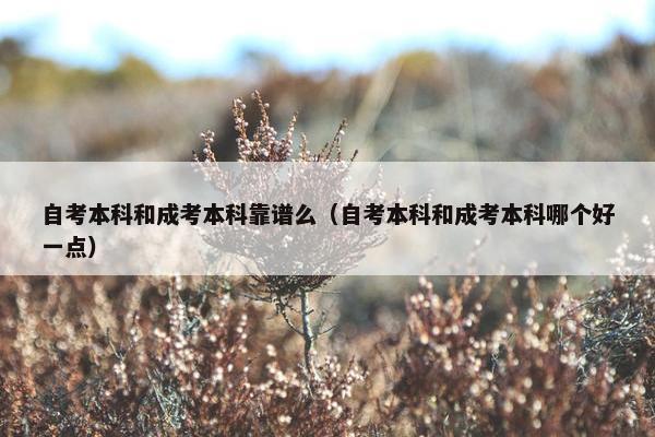 自考本科和成考本科靠谱么（自考本科和成考本科哪个好一点）