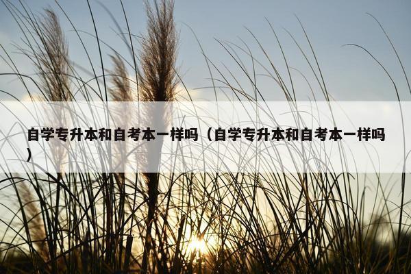 自学专升本和自考本一样吗（自学专升本和自考本一样吗）