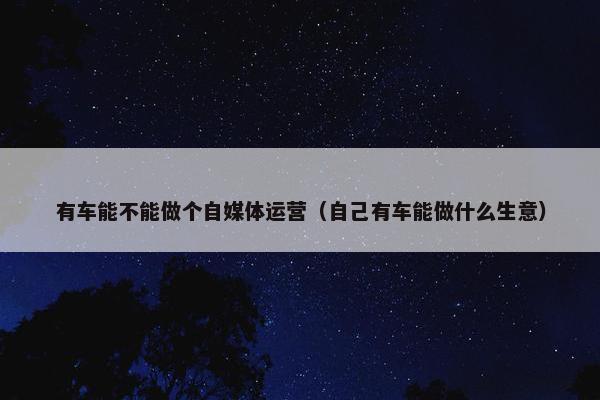 有车能不能做个自媒体运营（自己有车能做什么生意）