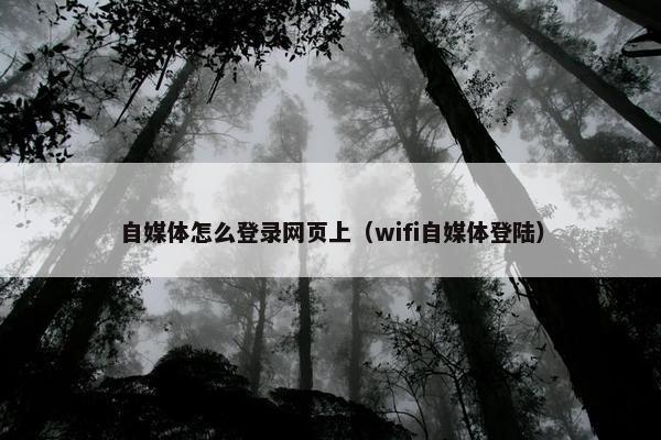 自媒体怎么登录网页上（wifi自媒体登陆）