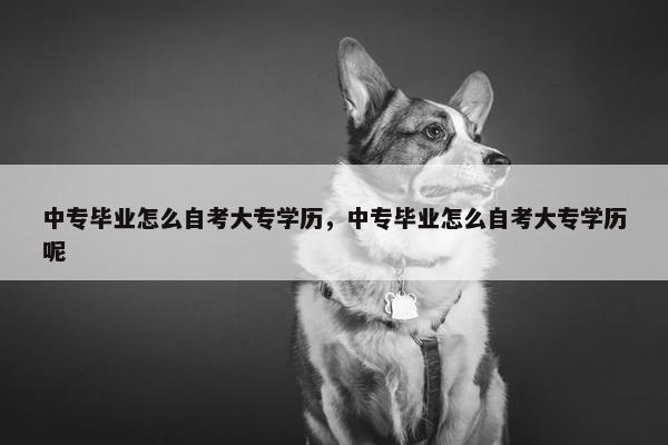 中专毕业怎么自考大专学历，中专毕业怎么自考大专学历呢