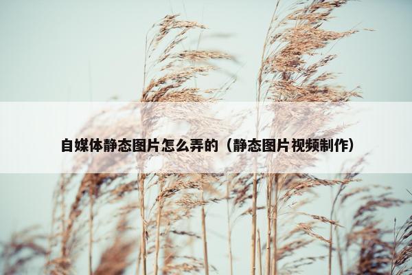 自媒体静态图片怎么弄的（静态图片视频制作）