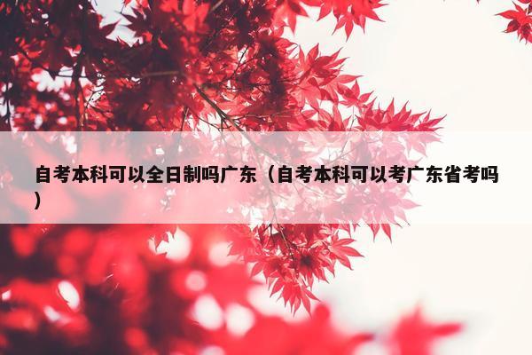 自考本科可以全日制吗广东（自考本科可以考广东省考吗）