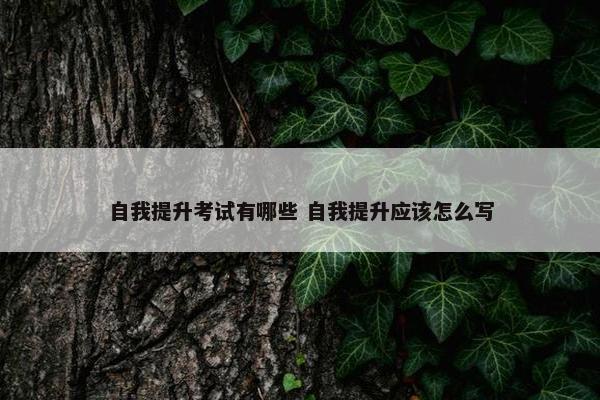 自我提升考试有哪些 自我提升应该怎么写