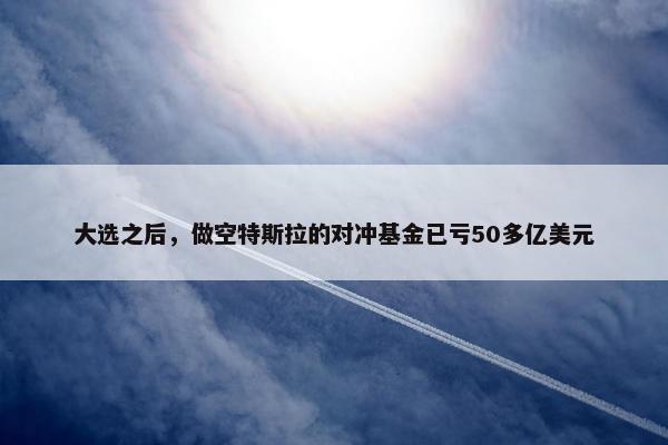 大选之后，做空特斯拉的对冲基金已亏50多亿美元