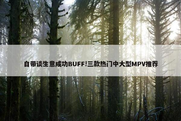 自带谈生意成功BUFF!三款热门中大型MPV推荐