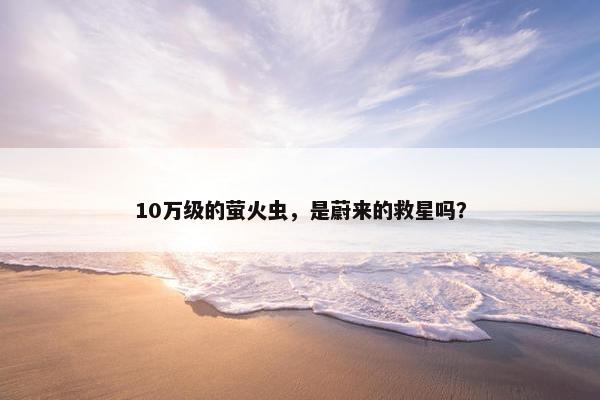 10万级的萤火虫，是蔚来的救星吗？