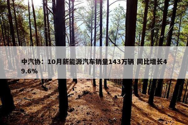 中汽协：10月新能源汽车销量143万辆 同比增长49.6%