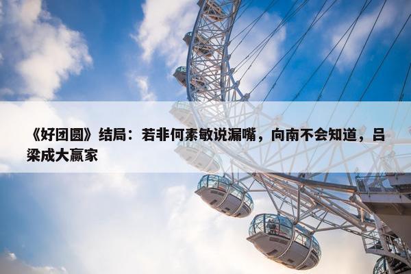 《好团圆》结局：若非何素敏说漏嘴，向南不会知道，吕梁成大赢家