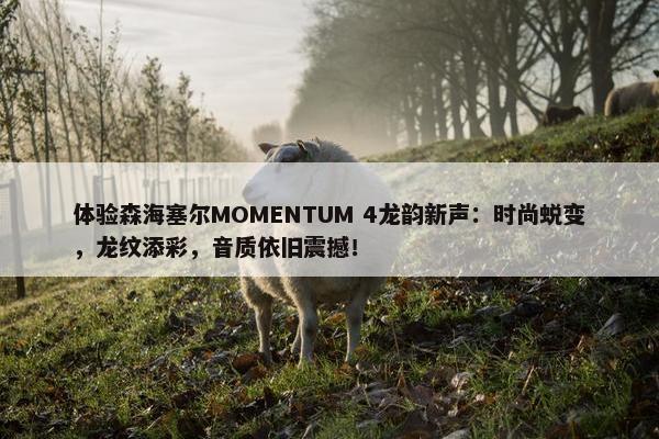 体验森海塞尔MOMENTUM 4龙韵新声：时尚蜕变，龙纹添彩，音质依旧震撼！