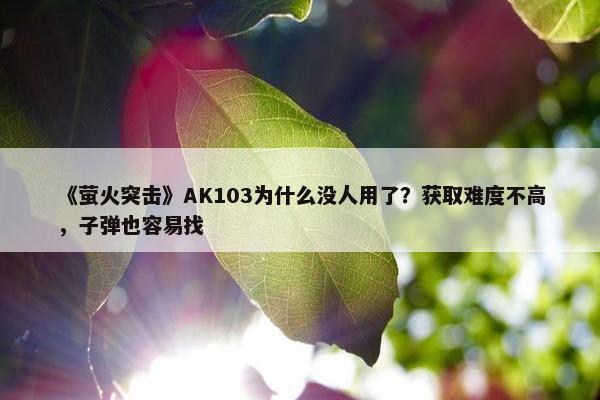 《萤火突击》AK103为什么没人用了？获取难度不高，子弹也容易找