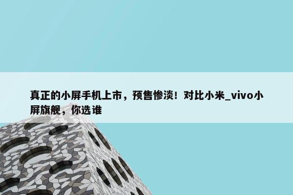 真正的小屏手机上市，预售惨淡！对比小米_vivo小屏旗舰，你选谁