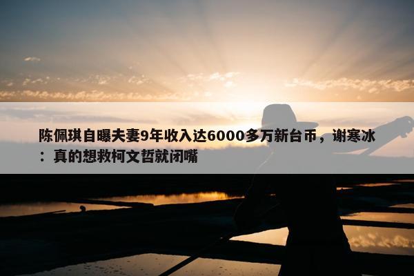 陈佩琪自曝夫妻9年收入达6000多万新台币，谢寒冰：真的想救柯文哲就闭嘴