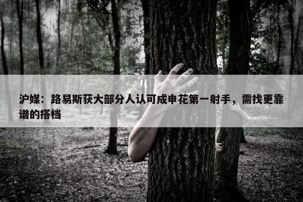 沪媒：路易斯获大部分人认可成申花第一射手，需找更靠谱的搭档