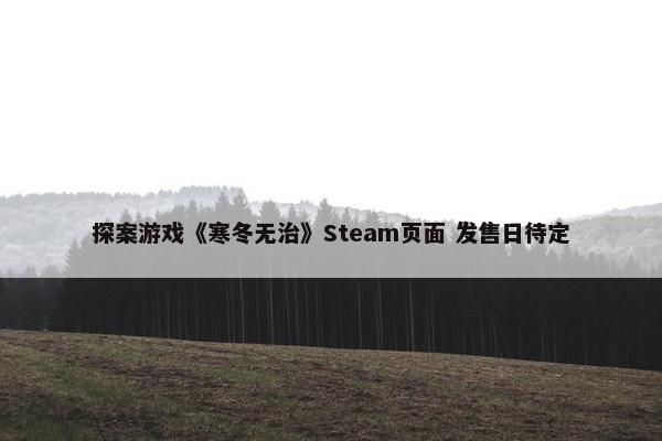 探案游戏《寒冬无治》Steam页面 发售日待定