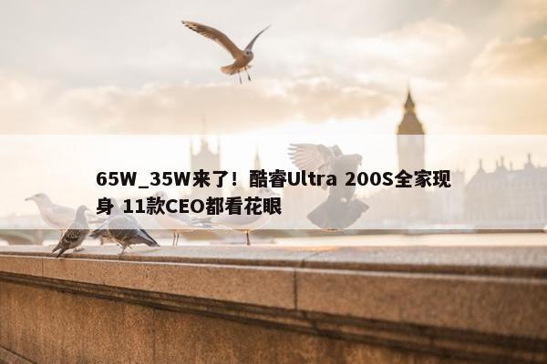 65W_35W来了！酷睿Ultra 200S全家现身 11款CEO都看花眼