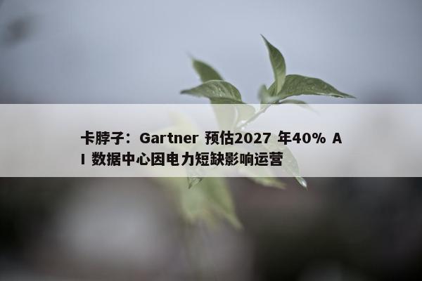 卡脖子：Gartner 预估2027 年40% AI 数据中心因电力短缺影响运营