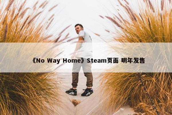 《No Way Home》Steam页面 明年发售