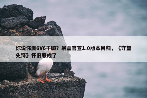 你说你删6V6干嘛？暴雪官宣1.0版本回归，《守望先锋》怀旧服成了