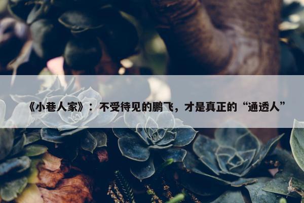 《小巷人家》：不受待见的鹏飞，才是真正的“通透人”