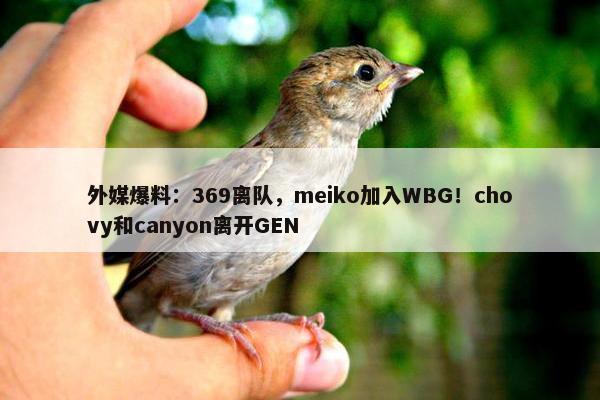 外媒爆料：369离队，meiko加入WBG！chovy和canyon离开GEN