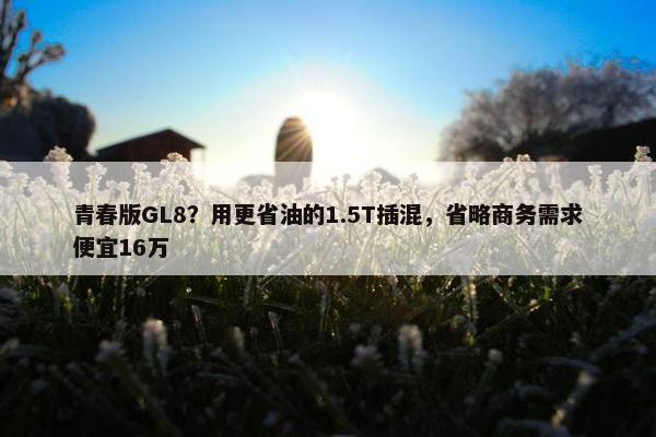 青春版GL8？用更省油的1.5T插混，省略商务需求便宜16万