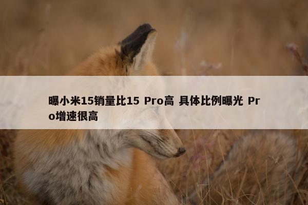 曝小米15销量比15 Pro高 具体比例曝光 Pro增速很高