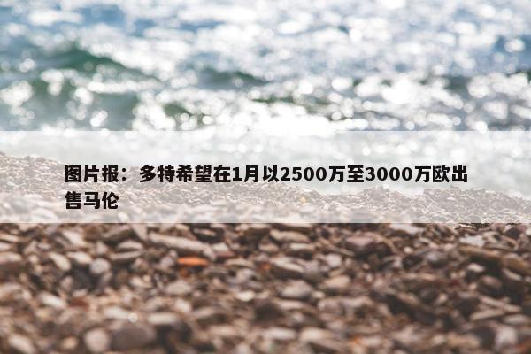 图片报：多特希望在1月以2500万至3000万欧出售马伦