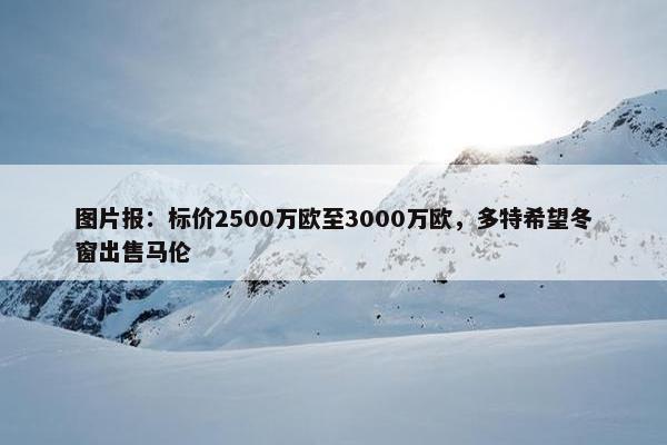 图片报：标价2500万欧至3000万欧，多特希望冬窗出售马伦