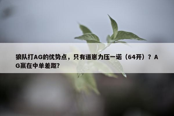 狼队打AG的优势点，只有道崽力压一诺（64开）？AG赢在中单差距？