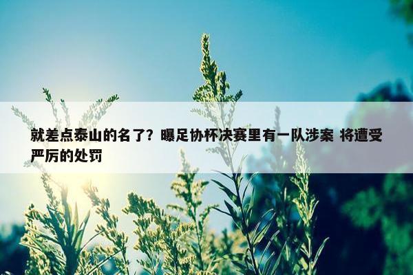 就差点泰山的名了？曝足协杯决赛里有一队涉案 将遭受严厉的处罚