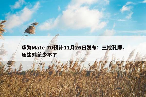 华为Mate 70预计11月26日发布：三挖孔屏，原生鸿蒙少不了