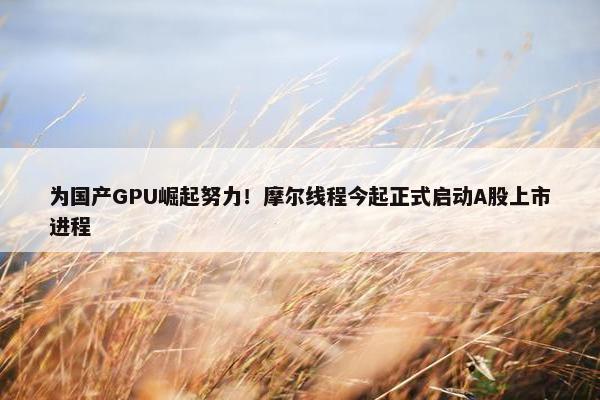 为国产GPU崛起努力！摩尔线程今起正式启动A股上市进程