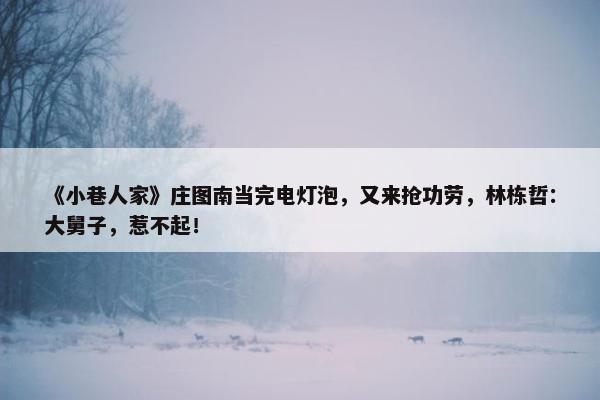 《小巷人家》庄图南当完电灯泡，又来抢功劳，林栋哲：大舅子，惹不起！