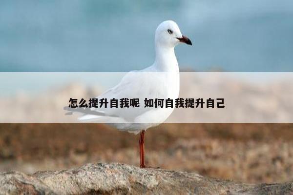 怎么提升自我呢 如何自我提升自己