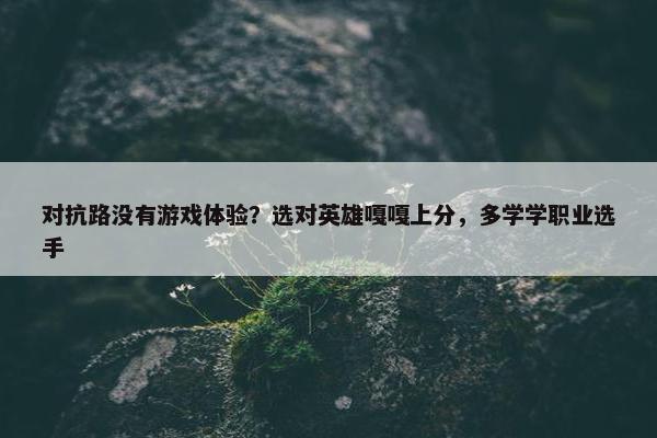 对抗路没有游戏体验？选对英雄嘎嘎上分，多学学职业选手