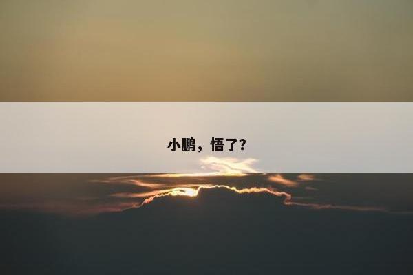 小鹏，悟了？