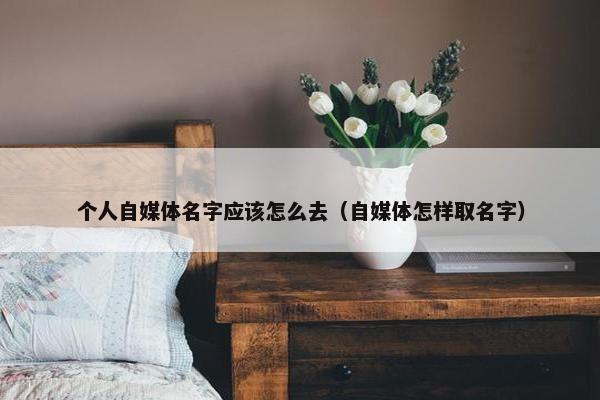 个人自媒体名字应该怎么去（自媒体怎样取名字）