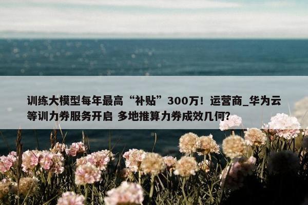 训练大模型每年最高“补贴”300万！运营商_华为云等训力券服务开启 多地推算力券成效几何？