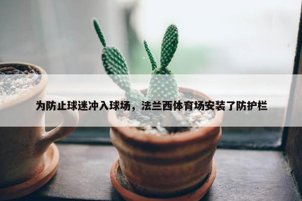 为防止球迷冲入球场，法兰西体育场安装了防护栏