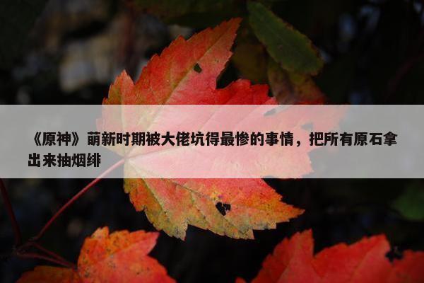 《原神》萌新时期被大佬坑得最惨的事情，把所有原石拿出来抽烟绯