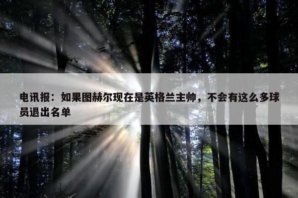 电讯报：如果图赫尔现在是英格兰主帅，不会有这么多球员退出名单