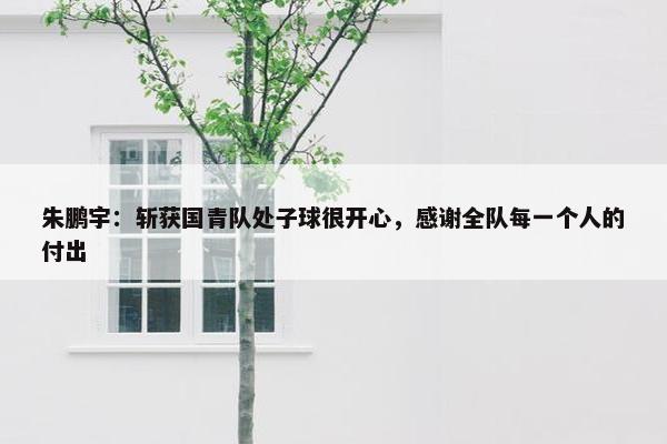 朱鹏宇：斩获国青队处子球很开心，感谢全队每一个人的付出