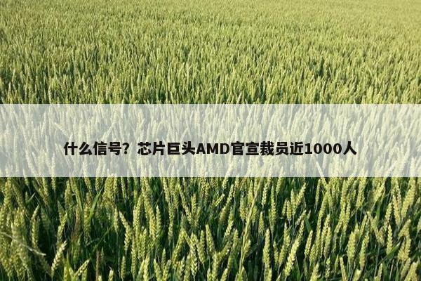 什么信号？芯片巨头AMD官宣裁员近1000人