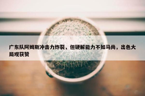 广东队阿姆斯冲击力炸裂，但硬解能力不如马尚，出色大局观获赞