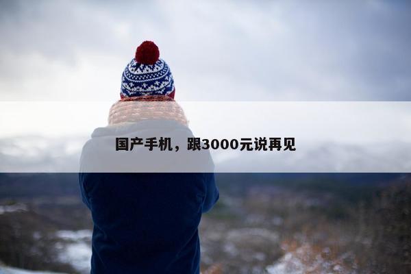 国产手机，跟3000元说再见