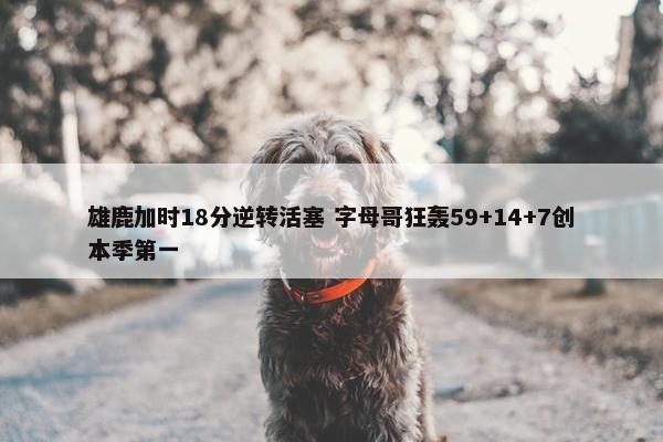 雄鹿加时18分逆转活塞 字母哥狂轰59+14+7创本季第一