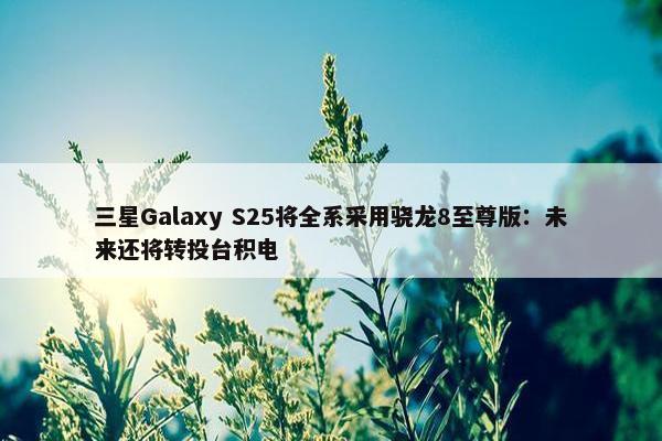 三星Galaxy S25将全系采用骁龙8至尊版：未来还将转投台积电