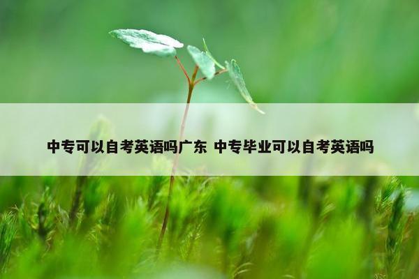 中专可以自考英语吗广东 中专毕业可以自考英语吗