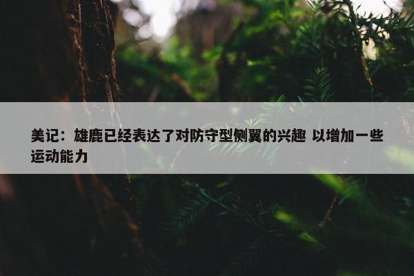 美记：雄鹿已经表达了对防守型侧翼的兴趣 以增加一些运动能力